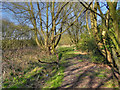 Footpath at the end of Heath Lane