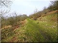 Old track near Birkshaw