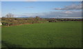 ST5429 : Farmland near Keinton Mandeville by Derek Harper