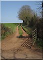 Gate and track, Clyst William