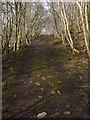 Former waggonway near Barcombe Colliery