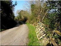H2115 : Road at Killymoriarty by Kenneth  Allen
