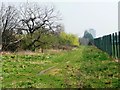 Informal path to Bull Lane