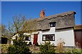 A wonderful Thatched Cottage in Reed