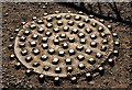 J4981 : Millfield Foundry manhole cover, Bangor (1) by Albert Bridge