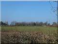 Very large farm building near Crossmoor Cross