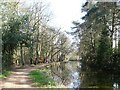 Cyclists on the Basingstoke Canal towpath