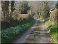 Footpath to Haytor Down