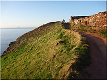 NT6679 : Coastal East Lothian : On The Dunbar Clifftop Walk by Richard West