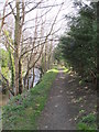 Path by Haltwhistle Burn