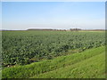 View towards Willoughton Grange