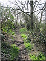 Footpath south of Castle Hill