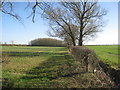 View towards an unnamed wood