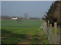 View alongside wood at Aller