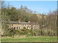 Oakwell Terrace