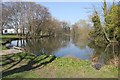 Pittville Lake western end