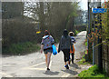 2012 : Pretty flowers on the road to Chelwood