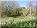 Pond at Studfield Hill