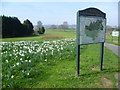 Entrance to East Wickham Open Space