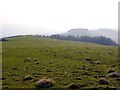 Field north-west of Birkshaw