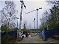 Winchester - Construction Site