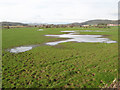 Waterlogged fields