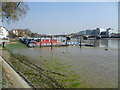 View from Cheyne Walk