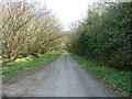 Millfield Lane near Hill farm