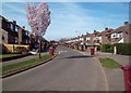 Orderly Bin Collection Day on Barnes Avenue