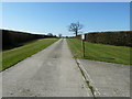 Neat grass and hedges on drive to Bonnetts