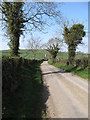 View north-westwards along Cavehill Lane