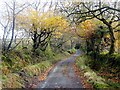 Autumnal Country Lane