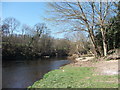 Afon Dyfrdwy looking upstream