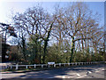 Copse, Chaseville Park Road, London N14