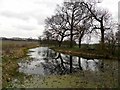 Cosford-Old Canal Arm