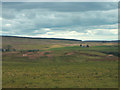 Drumclog Motocross Track