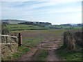 Sheep pastures in the Brecon Beacons