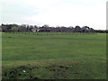 The cricket square Hyde Common