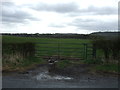 Gated field entrance off Humbleburn Lane