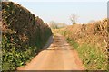 SX3157 : Cornish narrow lane by roger geach