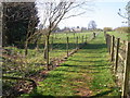 Fenced path between plantings of young trees,  Longborough