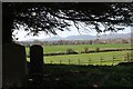 The view from the old Welland churchyard