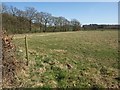 Fields near Brockbridge Farm