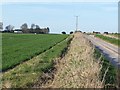 View beside track towards Norman Court Manor