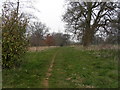 Path and light woods near Brockhampton