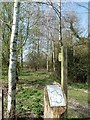 ST3484 : Entrance to the Solutia Nature Reserve, Nash, Newport by Robin Drayton