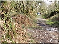 Llwybr march Llannewydd - Newchurch bridleway