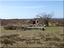 SU1710 : Ibsley Common, bunker by Mike Faherty