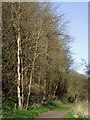 Bridleway to Bromley near Bridgnorth, Shropshire