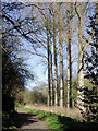 Bridleway north-east of Bridgnorth, Shropshire